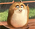 Hamster Rhino