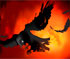 Crow in Hell Affliction