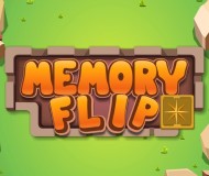 Memory Flip