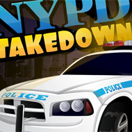 NYPD Takedown